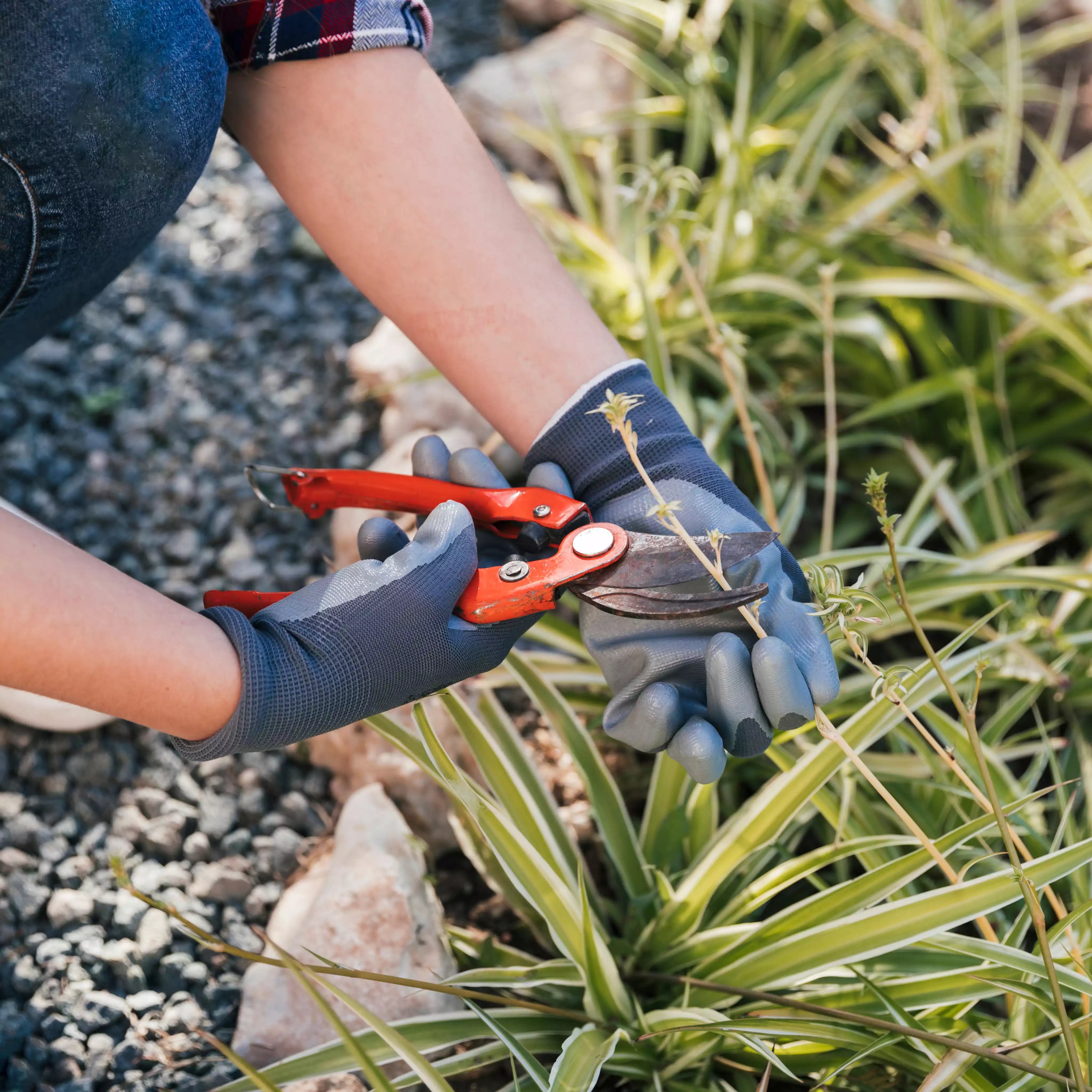 Travaux de jardinage et entretien paysager